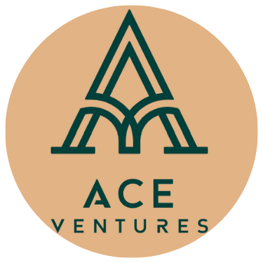 ace-1